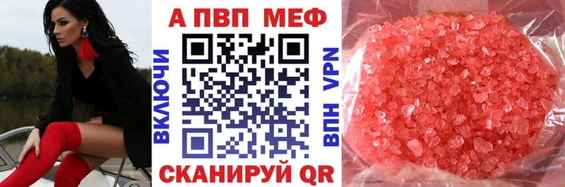 Alfa_PVP СК Тайга