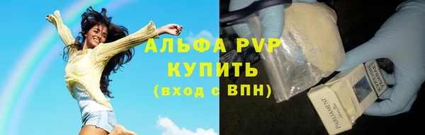трава Сосновый Бор