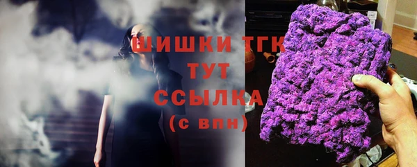spice Абаза
