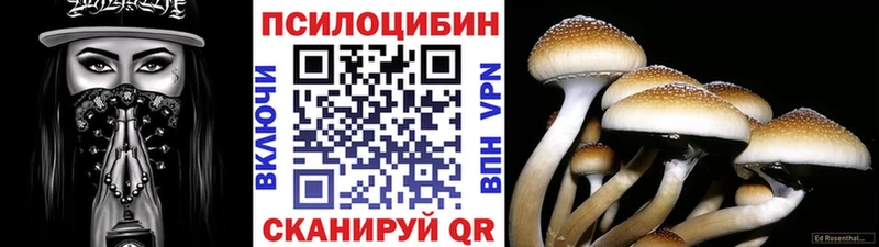 Псилоцибиновые грибы ЛСД купить цена Тайга